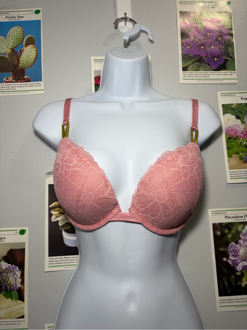 Victoria's Secret Lace Push-Up Bra in Dusty Pink